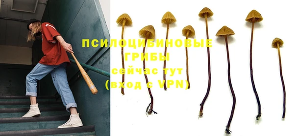 стаф Иннополис