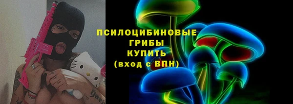 ECSTASY Инта