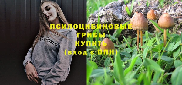 мет Инсар