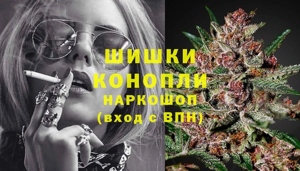 мет Инсар