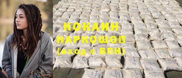 мет Инсар