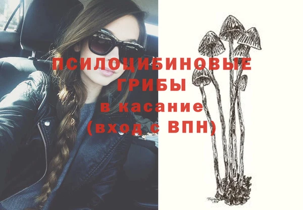 стаф Иннополис