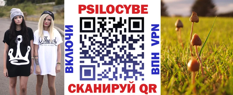 Галлюциногенные грибы Psilocybe  Купить закладки  Заречный 