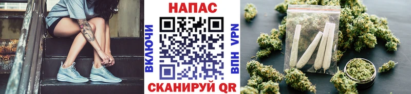 Купить закладки  Заречный  Шишки марихуана марихуана 